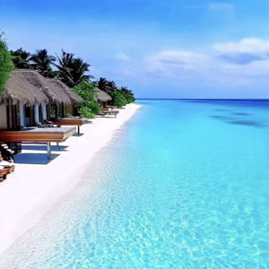 Maldives Honeymoon