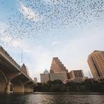 Congress Avenue Bridge