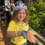 Butterfly Wonderland