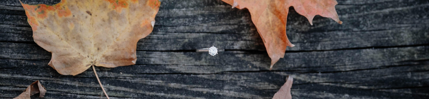 The Wedding Website of Theresa Brummel and Drew Lewis