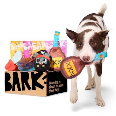 Super Chewer Bark Box Subscription (1 year)