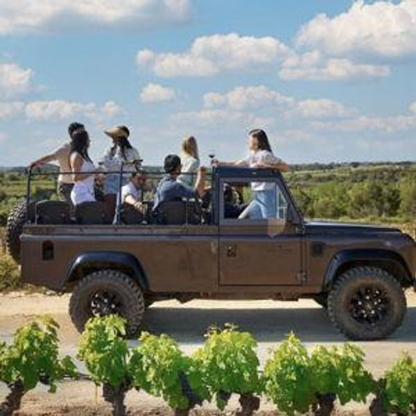 Penedes Wine & Cava Tasting & 4WD Vineyards Tour from Barcelona