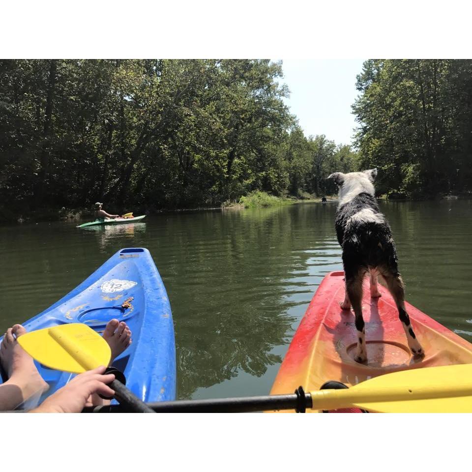Kayaking is one of our favorite activities to do together!