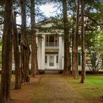 Rowan Oak