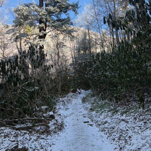 Honeymoon in North GA Mountains
