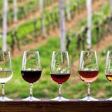 Wine Tasting