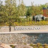Minnesota Zoo
