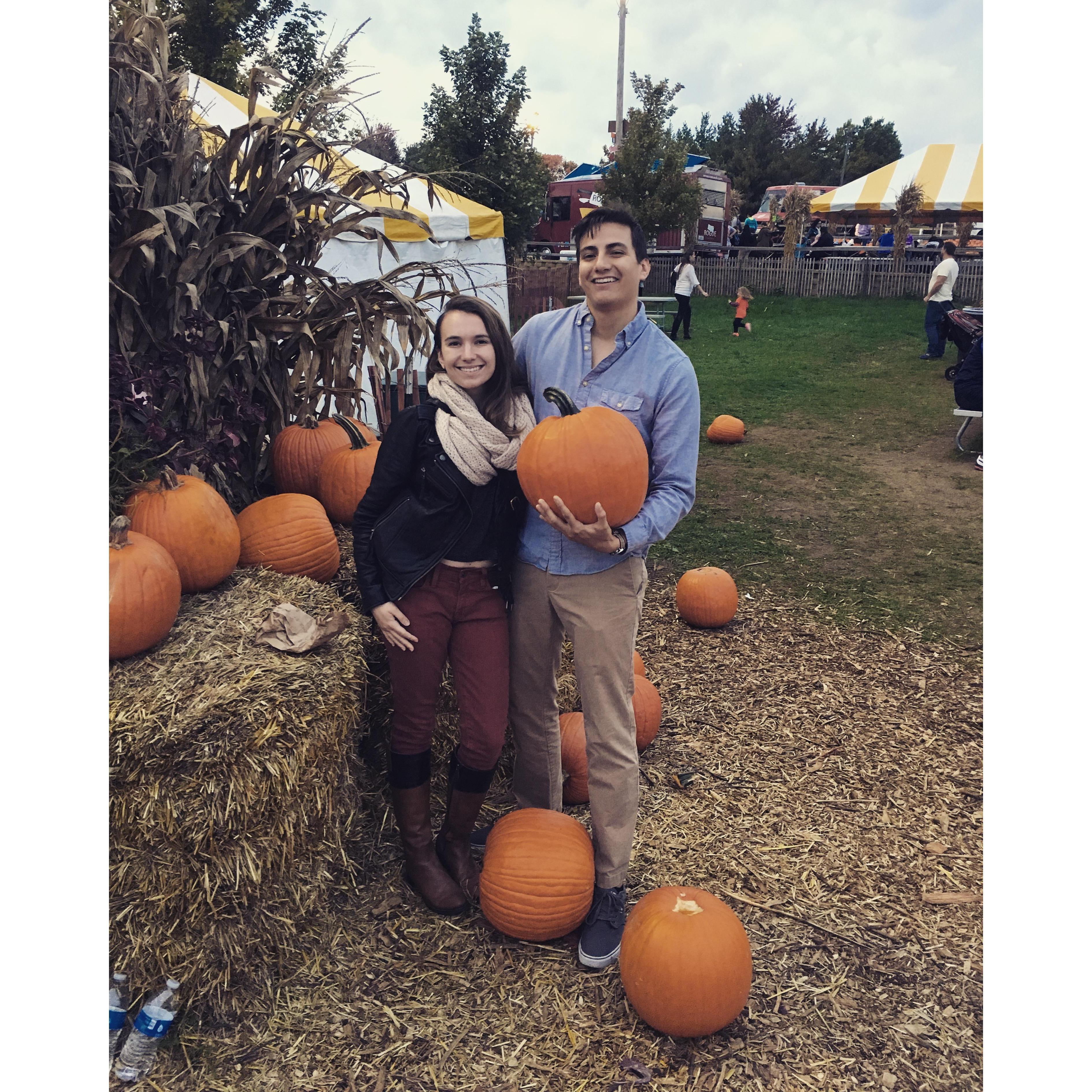 Pumpkins picking pumpkins, 2016