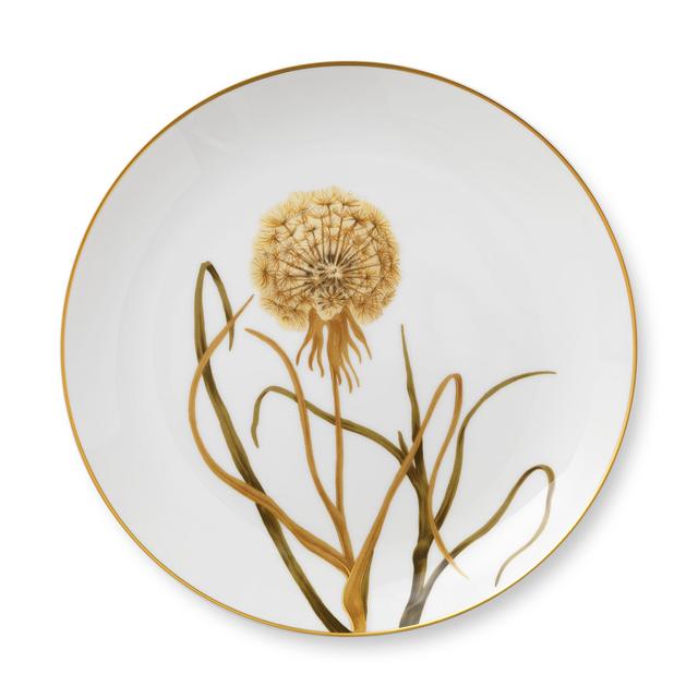 Dinner Plate