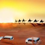 Desert Safari Dubai