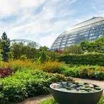 Garfield Park Conservatory