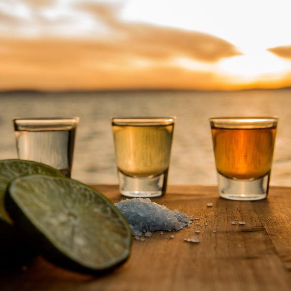 Tequila Tasting