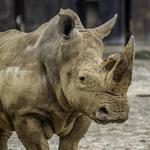 Milwaukee County Zoo