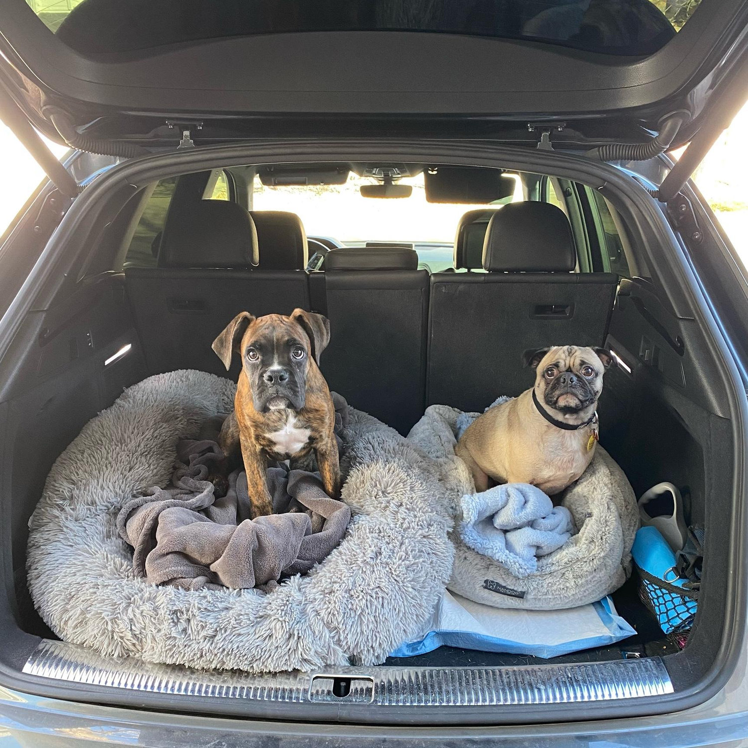 First trip as brothers 🥲