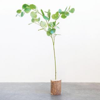 Faux Eucalyptus Branch