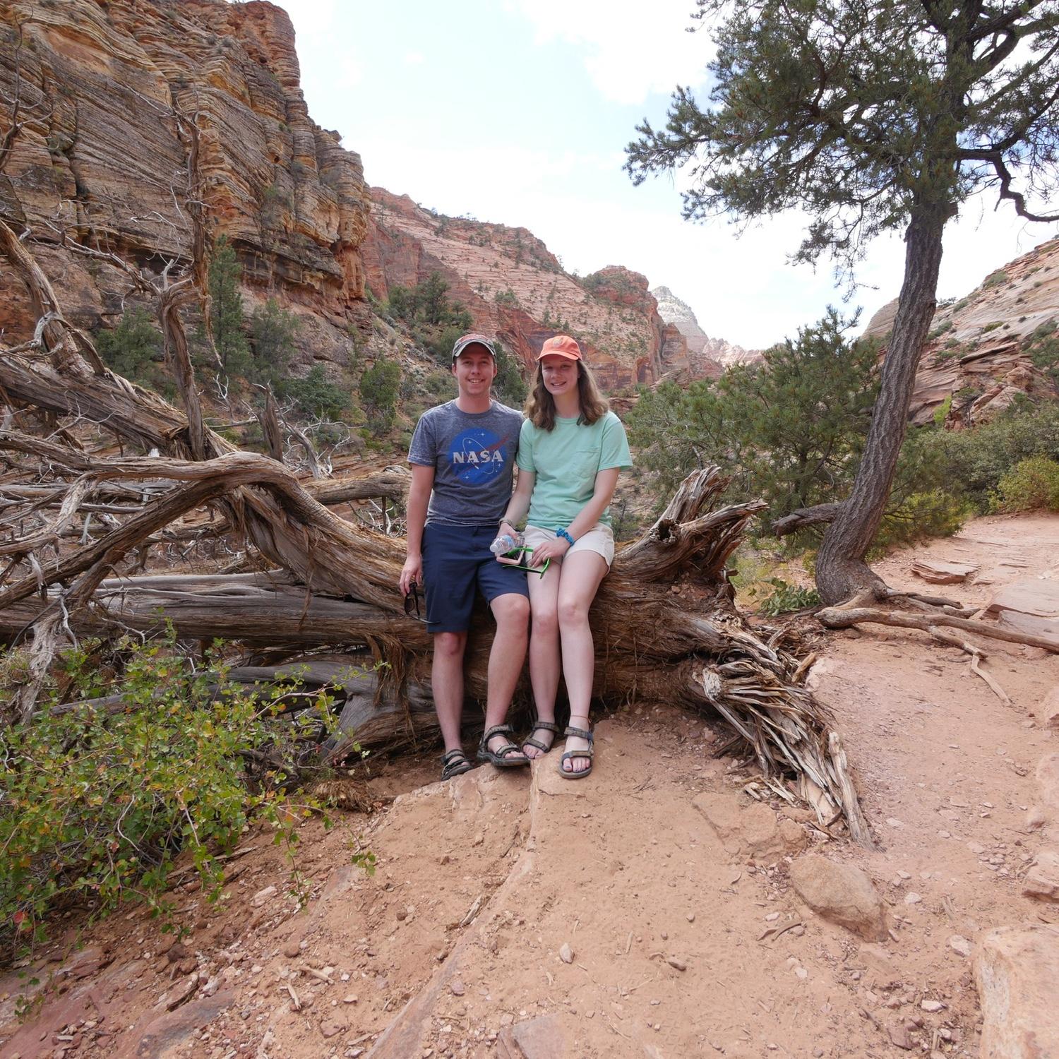 A cozy tree in Zion.