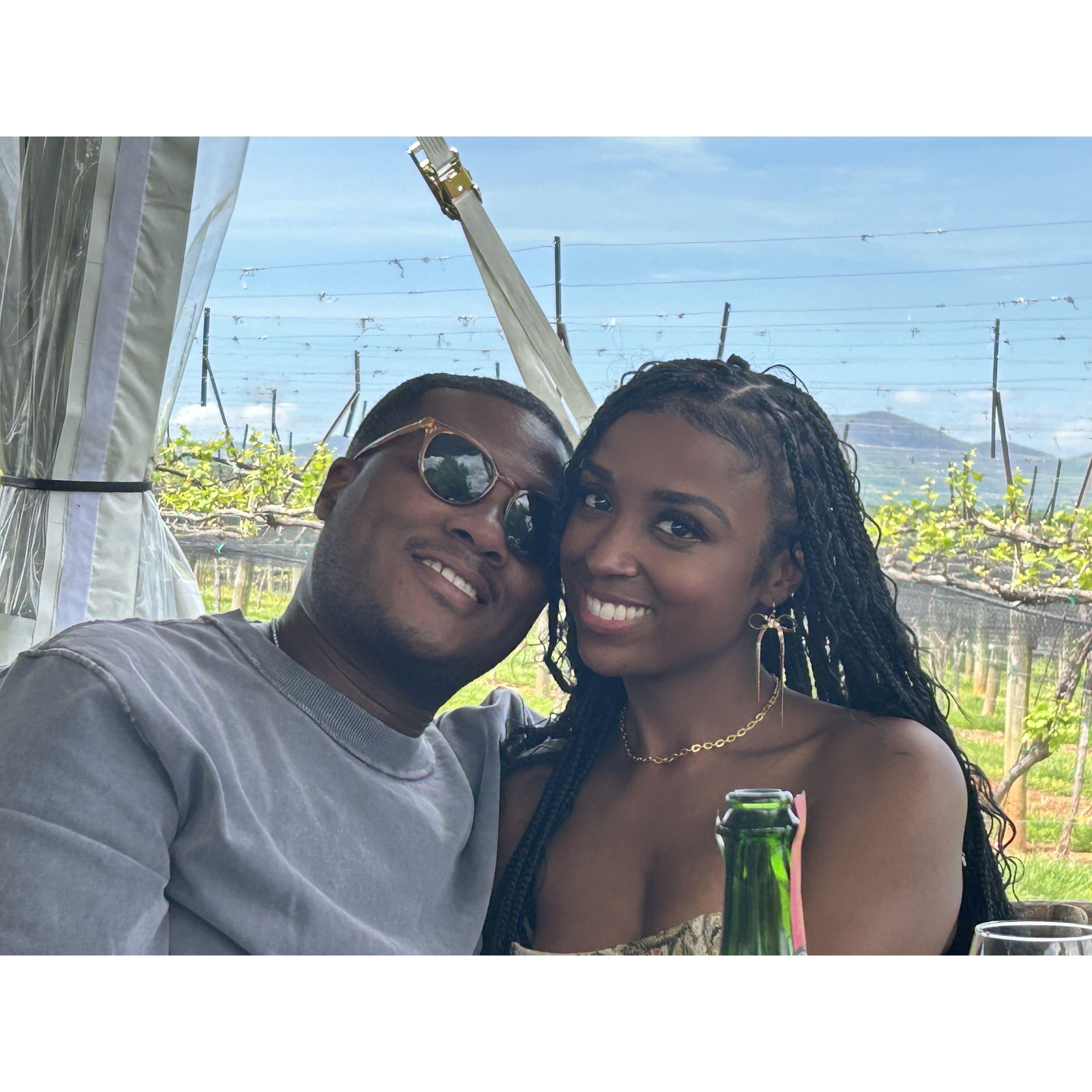 Amber's Birthday wine tour 2024