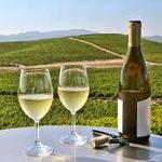 Napa Valley Wineries