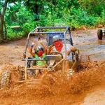 Xtreme-Buggy