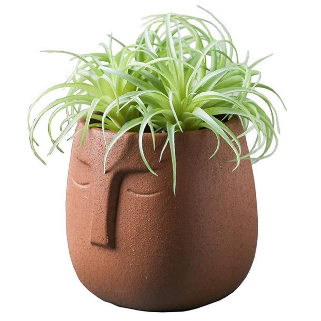 Head Flower Pot Face Shape Panter Pot Head Shape Orchid Pot Indoor Head Flower Pots for Plants – Indoor Garden Planters Pots with Drainage Holes (Brown)