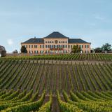 Schloss Johannisberg