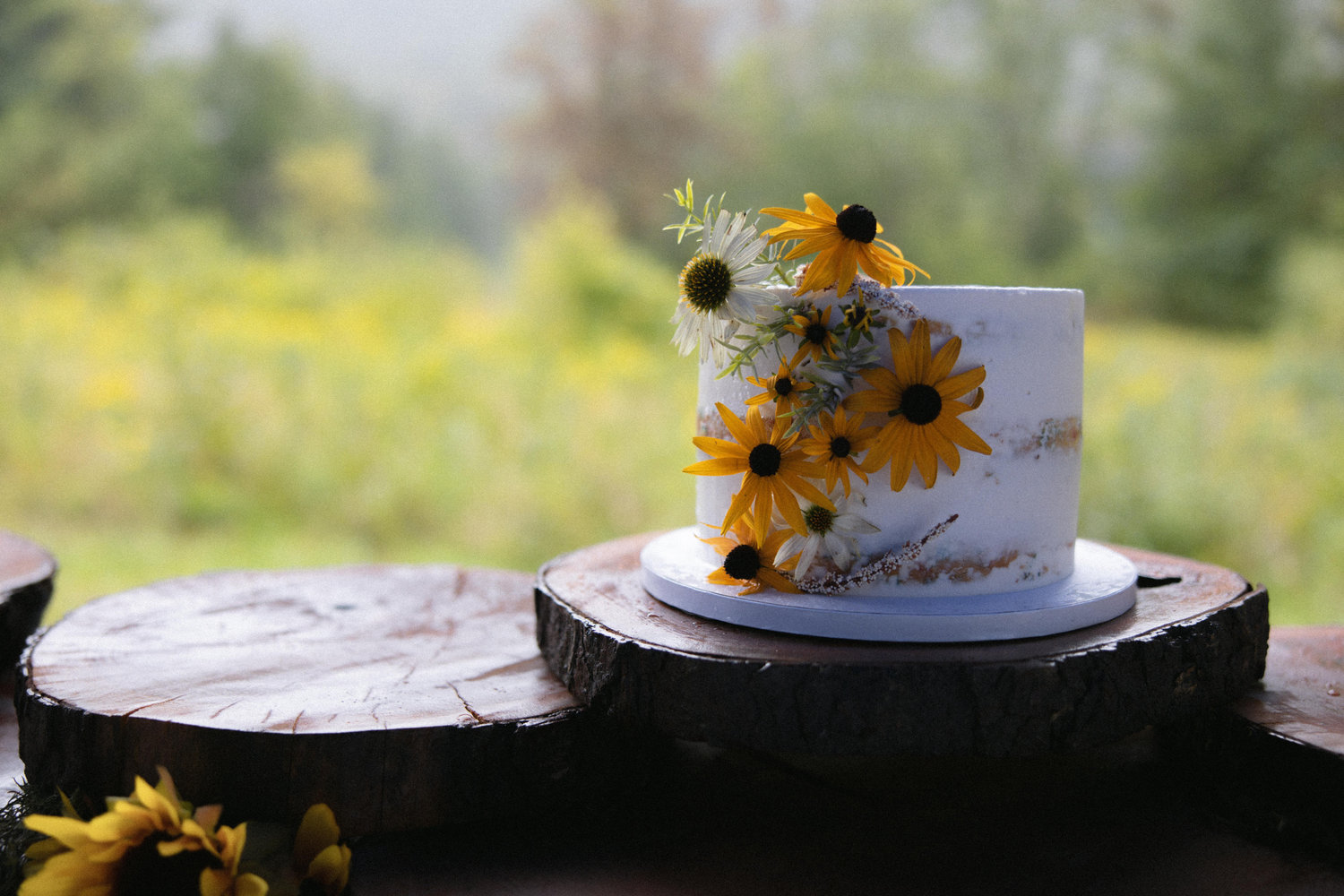 The Wedding Website of Jessie Kuzmicki and Mikey Swiercz
