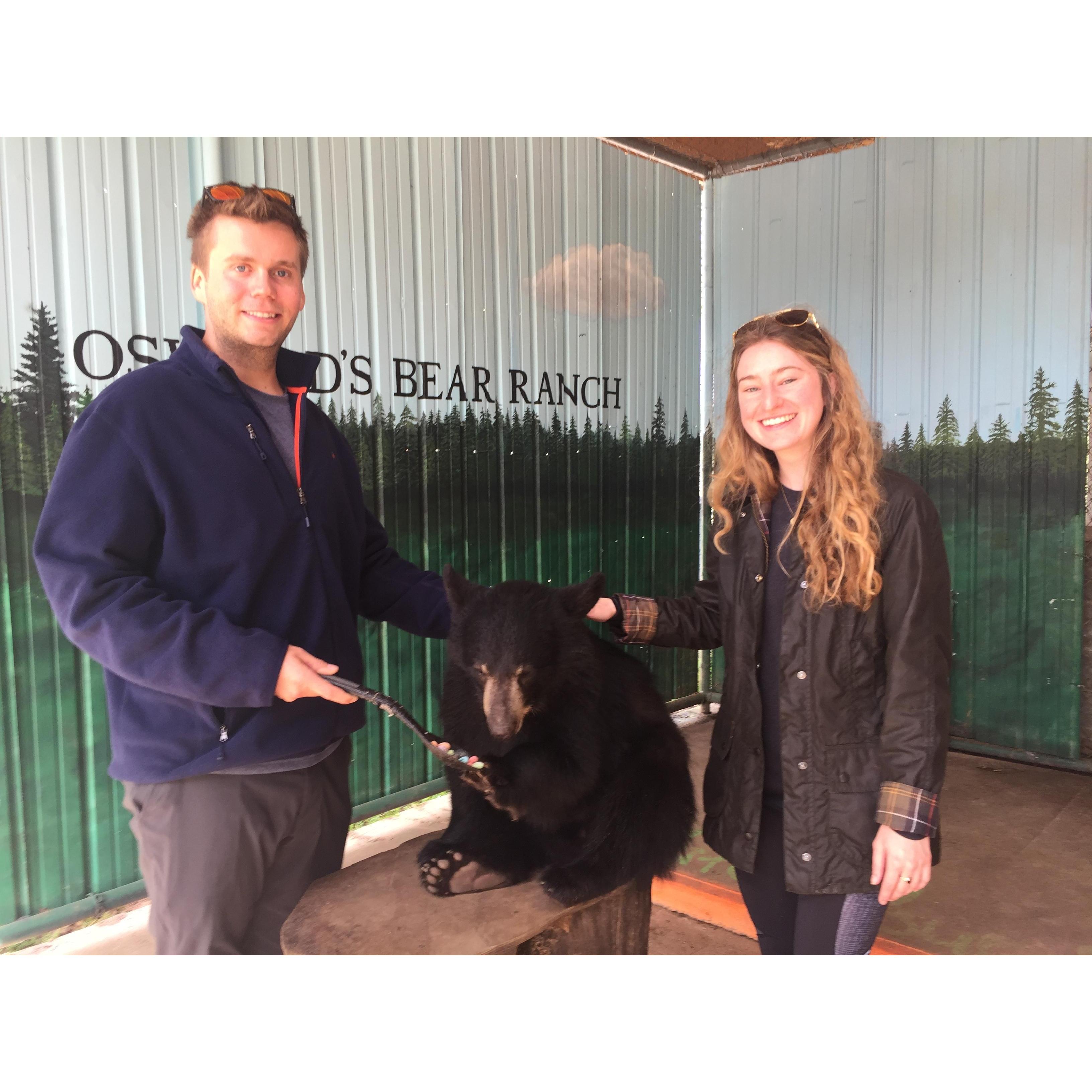 September 2017 - Feeding black bear cubs at Oswalds Bear Ranch in Newberry Michigan.