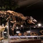 Museum of the Rockies