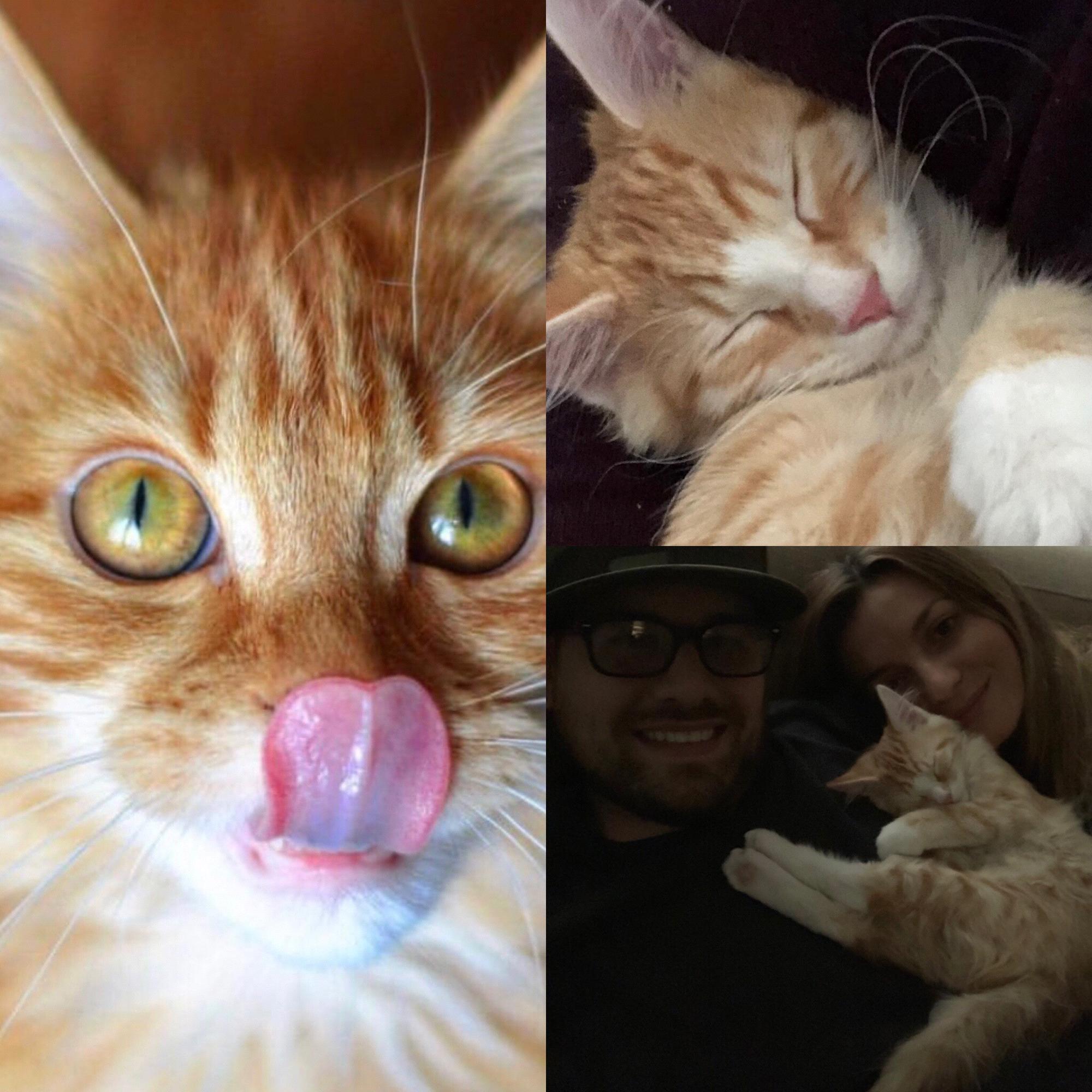 Ryans and Ela’s fur child, Leo