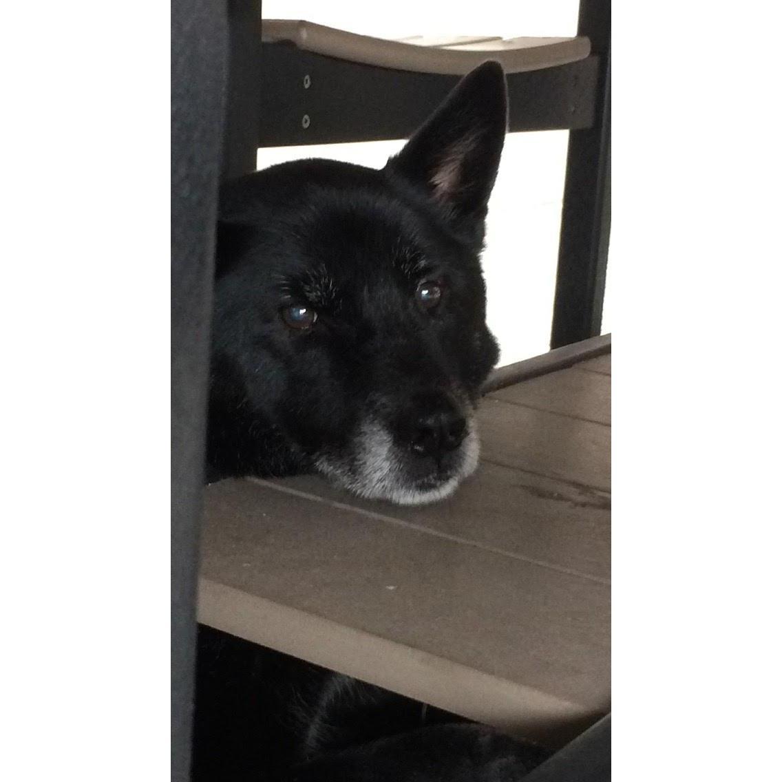 The other love in our lives - Po