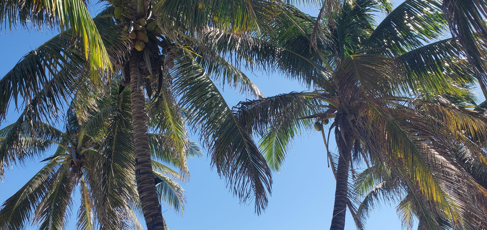 1834b51e-83b0-4ae4-b3e2-f18e45dcdba8