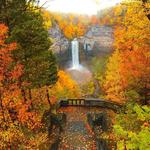 Taughannock Falls State Park