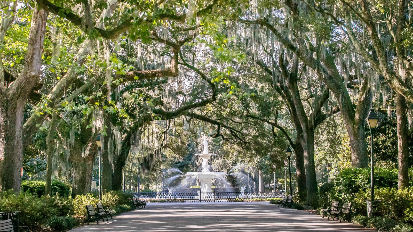 The Wedding Website of Natalie Taylor and Domenic Scavola