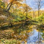 Severson Dells Nature Center