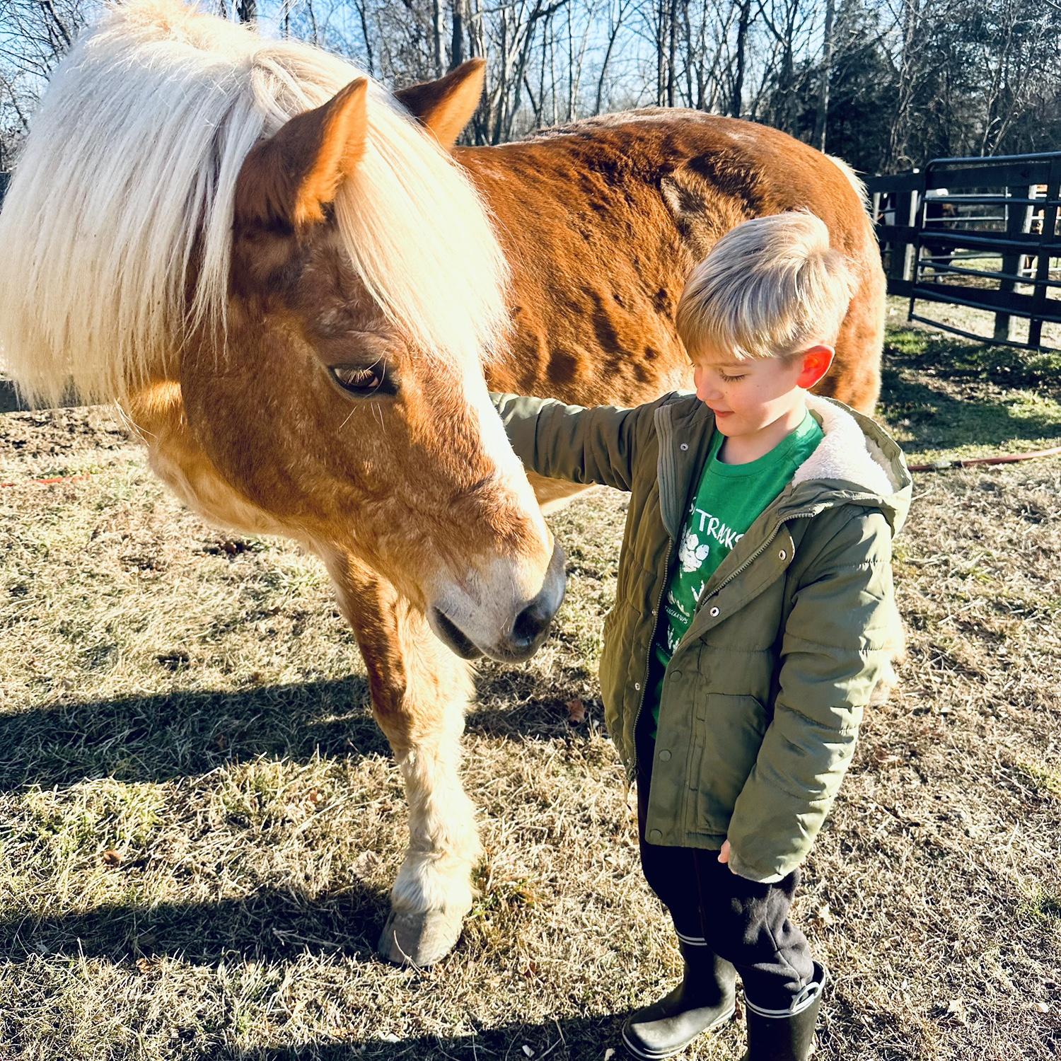 Our big guy- Simba 💛 We’ll miss him always.