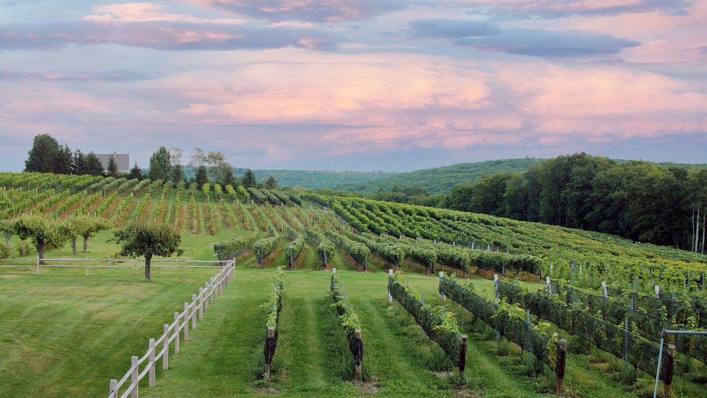 The Wedding Website of Mikayla Leaton and James Leaton