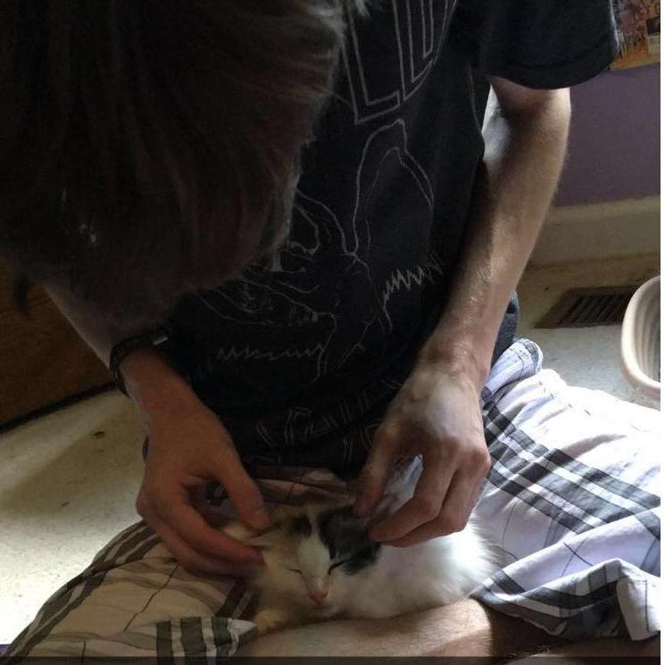 Bringing Peaches home