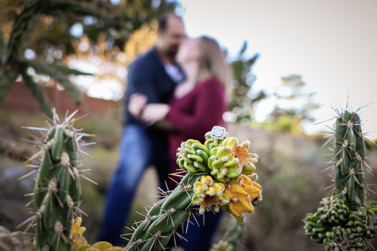 The Wedding Website of Megan Schrotenboer and Christian Roberts