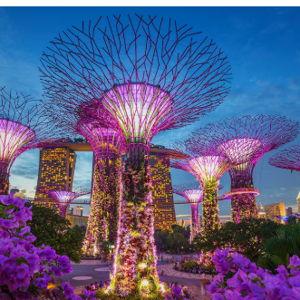 Dinner For Two in Singapore