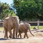 Sedgwick County Zoo