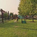 Southside Works Dog Park