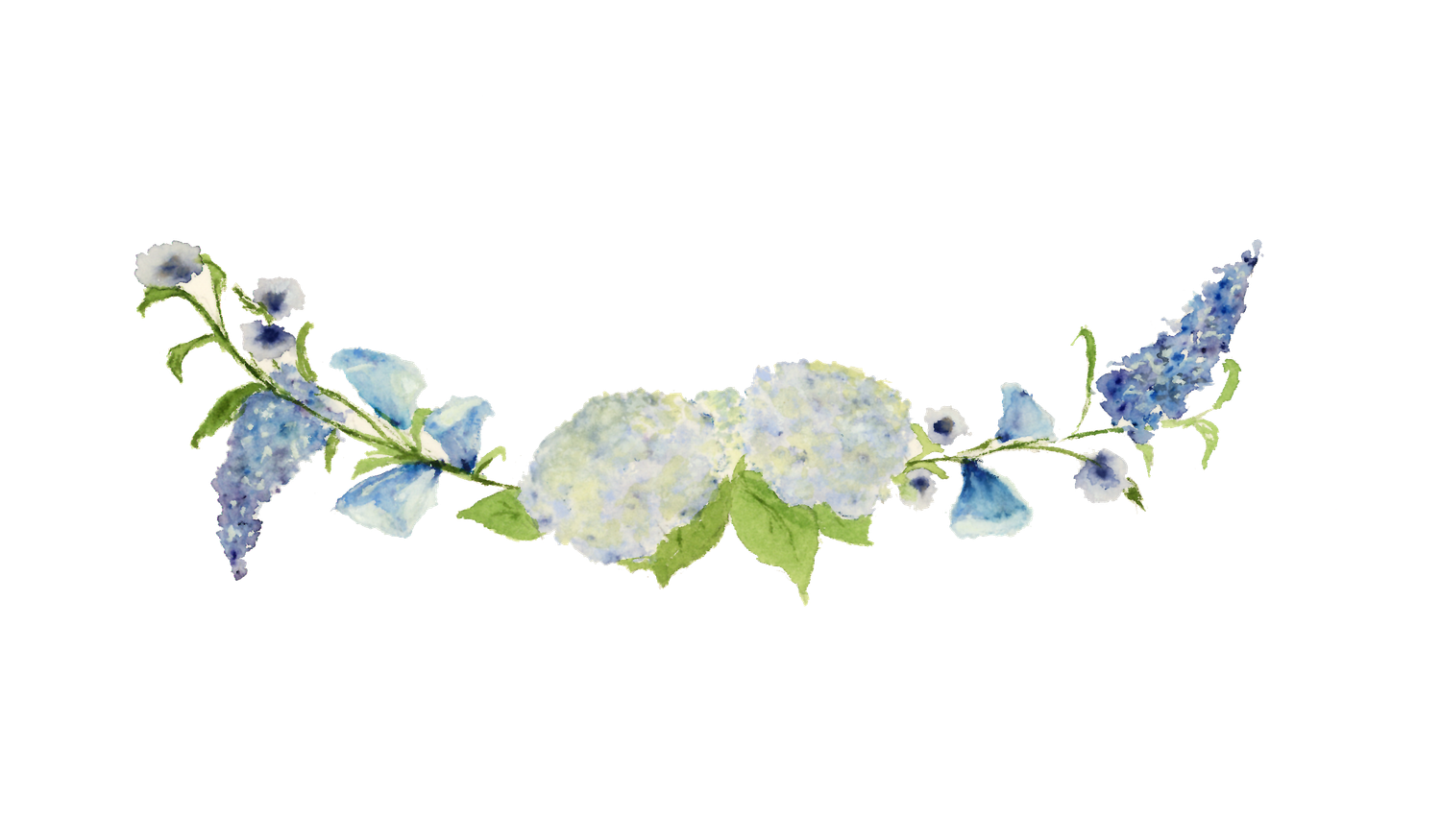 Footer image