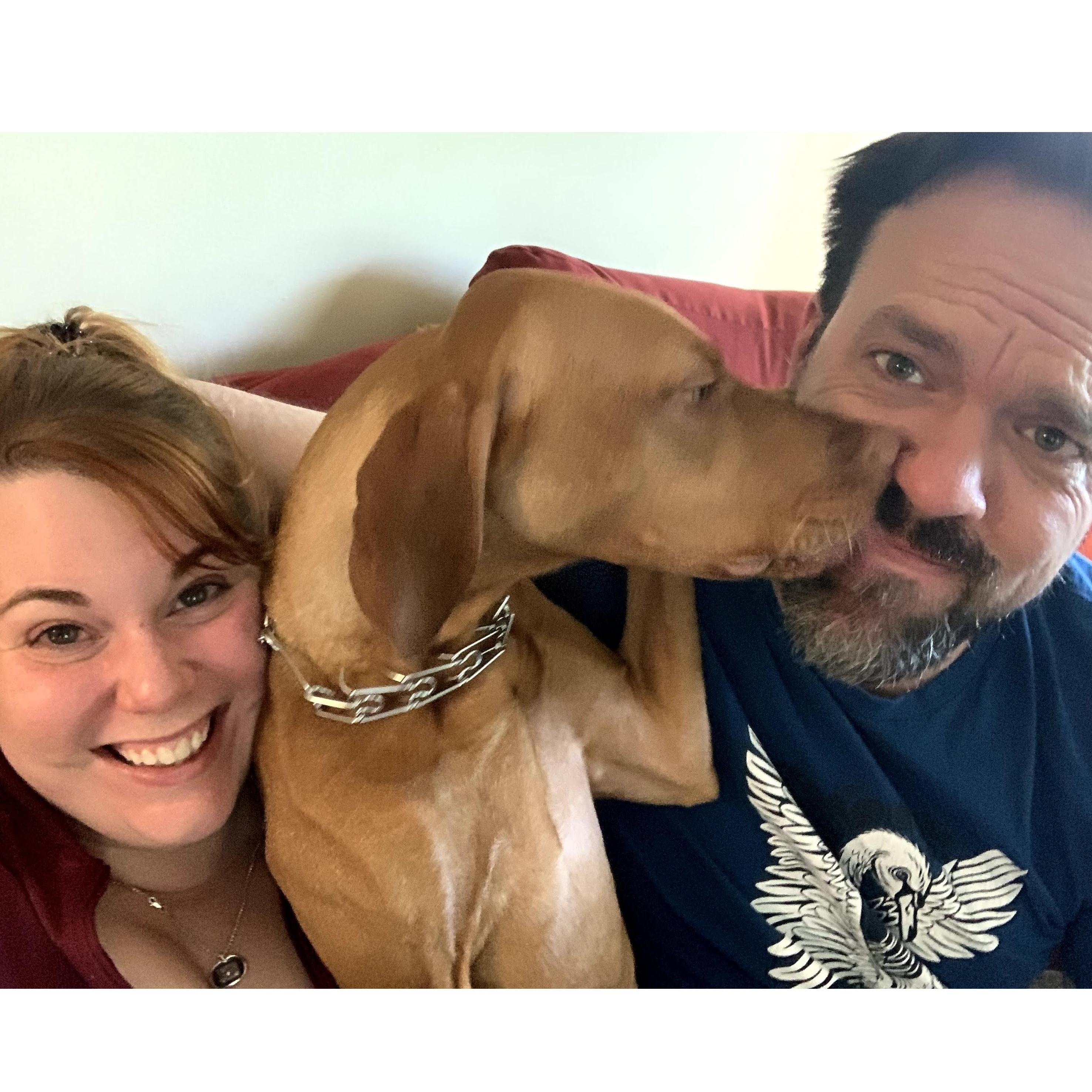 Sophie the modesty dog. Photobombing cutesy photos since 2019.
