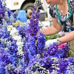 Dane County Farmers' Market