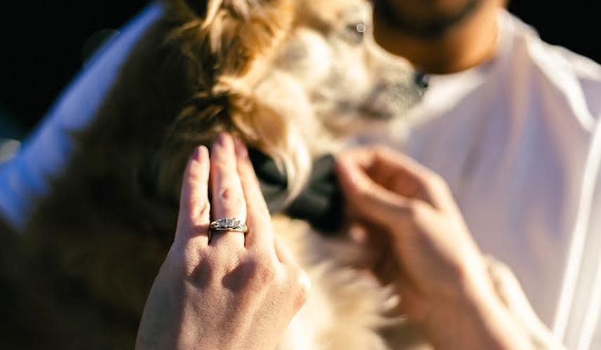 The Wedding Website of Rachel Sawyer and Nelson Ruiz