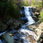 Pisgah National Forest