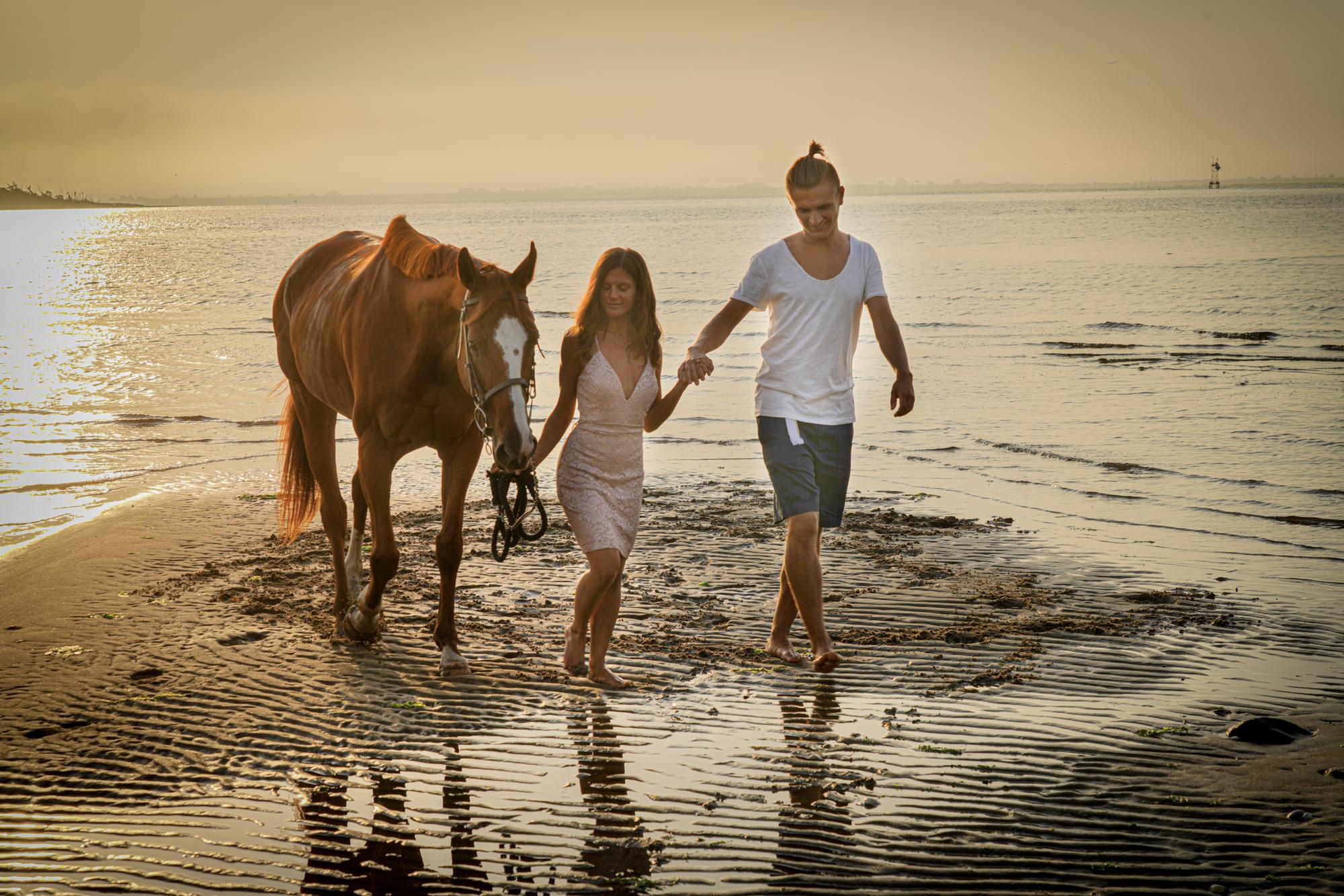 May we always be inspired by the nature of horses...
to be honest, gentle, compassionate, and present🐴🤍