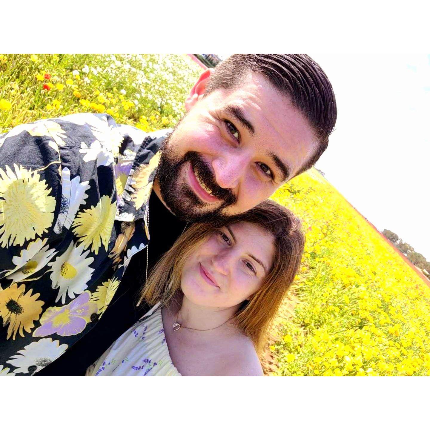 Carlsbad Flower Fields