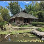 Lankester Botanical Gardens.