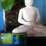 Blu Bamboo Salon & Day Spa